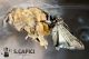 2012Dec17_0302.jpg