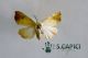 2012Dec18_0294.jpg
