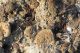 SantaSevera_18-XII-2012_CN011.JPG