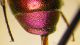 DSCF3304.JPG