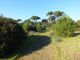 Ostia_30-XII-2012_1.jpg
