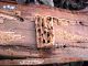 DSCN4970.JPG