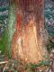 DSCN4963.JPG