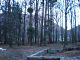 DSCN4961.JPG