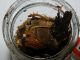 DSCN9959.jpg