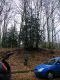 DSCF3400.JPG