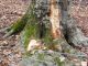 DSCF3402.JPG
