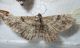 DSCN9756.JPG
