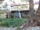 IMG_2724 (800x600) (640x480).jpg