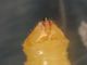 DSCN3120.JPG