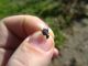 040220133411-small.jpg