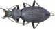 Megodontus bonvouloiri fortunatu.JPG