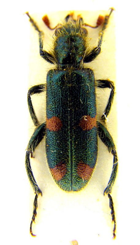 DSCF3497.JPG