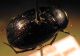IMG_4232bb.JPG
