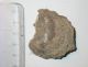 DSCN3305.JPG