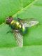 SME Nord 29.V.2012 064a.jpg