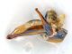 Comb0665_07jcr.jpg