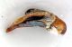 Comb0670_05jcr.jpg