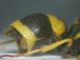 DSCN3309.JPG