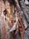Im_9_Rosura_Sud_P1100674_ridimensionata.jpg