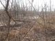 DSCN3421.JPG