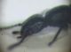BILD6359.JPG