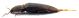 Comb0718_25cr.jpg