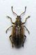 DSCN3704 - Copia.JPG