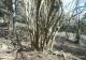 tn_DSCN1208.JPG