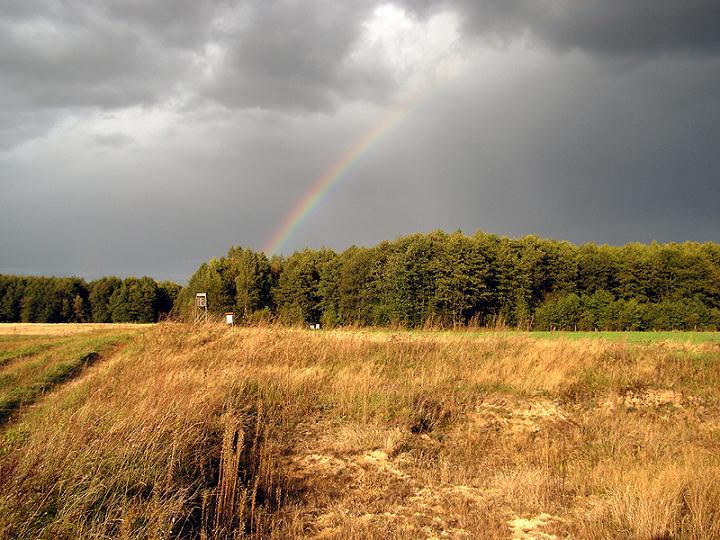 01.Biebrzanski PN_Northen area.jpg