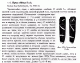 clytus_arietis_oblitus.gif