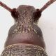 Arammichnus_Focene_27-III-2013_6,2mm_capo.jpg