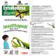 Insettopoli 4-2013-Invito.jpg