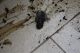 resized-IMG_0743.JPG