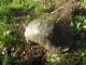 IMG_4634 (800x600) (640x480).jpg