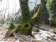 IMG_4443 (800x600) (640x480).jpg