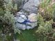 IMG_4643 (800x600) (640x480).jpg