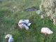 IMG_4647 (800x600) (640x480).jpg