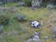 IMG_4649 (800x600) (640x480).jpg