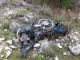 IMG_4514 (800x600) (640x480).jpg