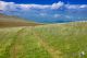 _MG_9568-spring_small.jpg