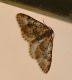 DSC_0876.JPG