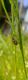 130420133550-small.jpg