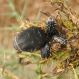 Cyprus 2013 120.JPG