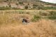 Cyprus 2013 450.JPG
