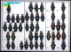 Carabidae 12.JPG