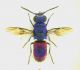DSCN4160.jpg