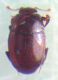 FILE0194.JPG