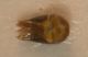 DSCN4244.JPG