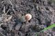 DSC00677-Modificata Small.jpg